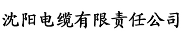 内裤奇缘天谴电缆厂logo